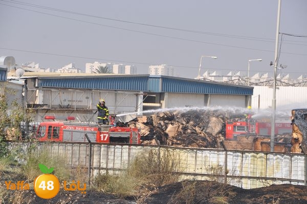 firecartoonsecnd506 (35).JPG